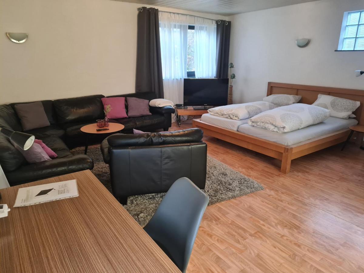 Apartment Zum Wohlfuehlen In Ruhiger Lage Pfungstadt Dış mekan fotoğraf